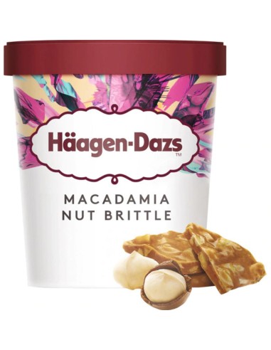 TARRINA MACADAMIA NUT BRITTLE 460 GR HAAGEN DAZS